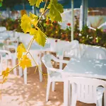 Apartmán Chrysland Ayia Napa