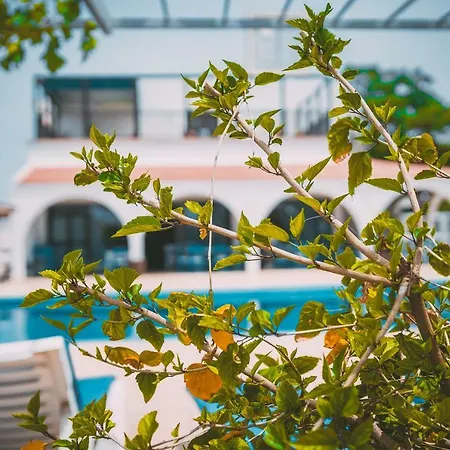 Chrysland * Agia Napa