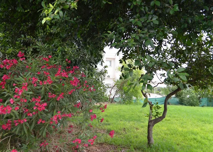 Chrysland Appartement Agia Napa