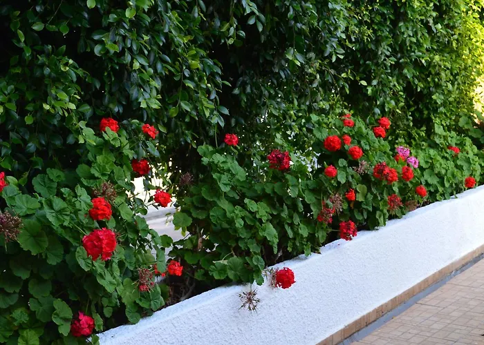 Appartement Chrysland Agia Napa