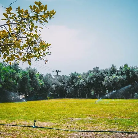 Chrysland Apartamento Ayia Napa