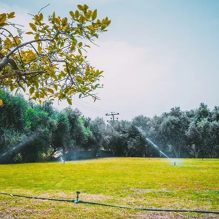 Chrysland Apartamento Ayia Napa