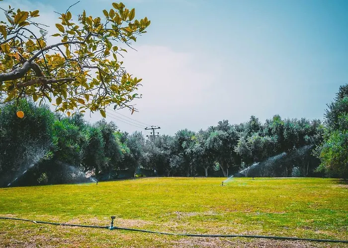 Chrysland Apartman Ajía Nápa