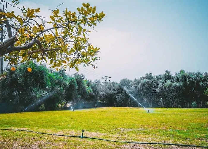 Chrysland Apartman Ajía Nápa