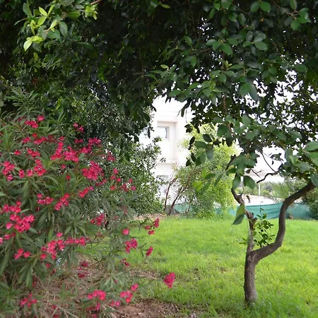 Chrysland Appartement Ayía Nápa