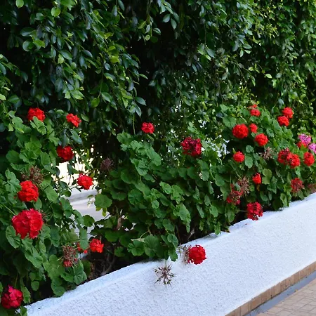 Appartement Chrysland Ayía Nápa