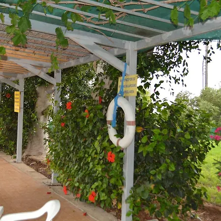 Chrysland * 아이아 나파