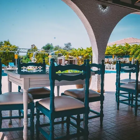 Chrysland 아이아 나파