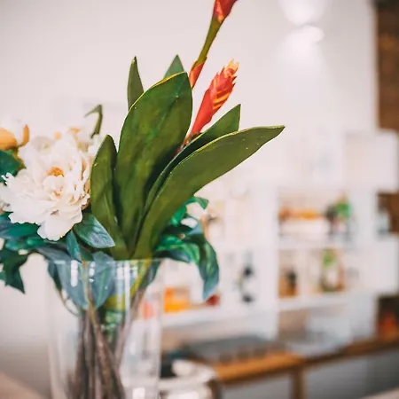 Chrysland 아파트 아이아 나파