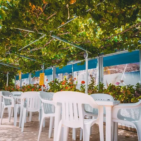 Chrysland 아이아 나파